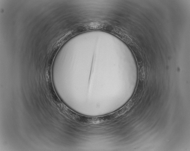 X0000078830746200612111519