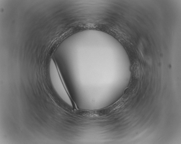 X0000078830747200612111519