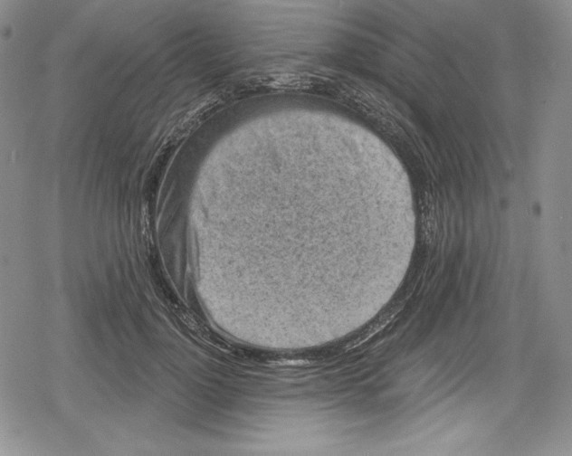 X0000078830748200612111519