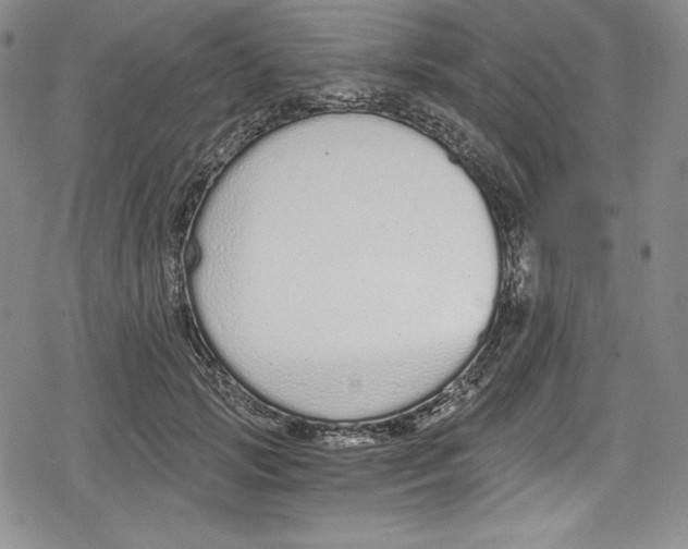 X0000078830749200612111519