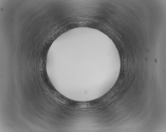 X0000078830750200612111519