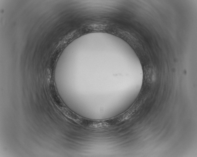 X0000078830752200612111519