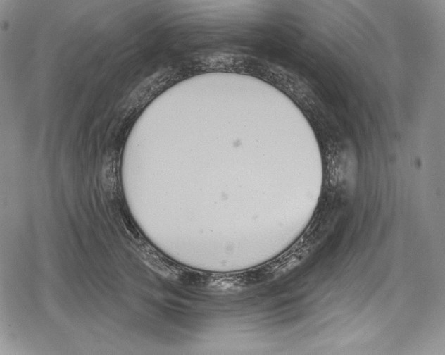 X0000078830753200612111519