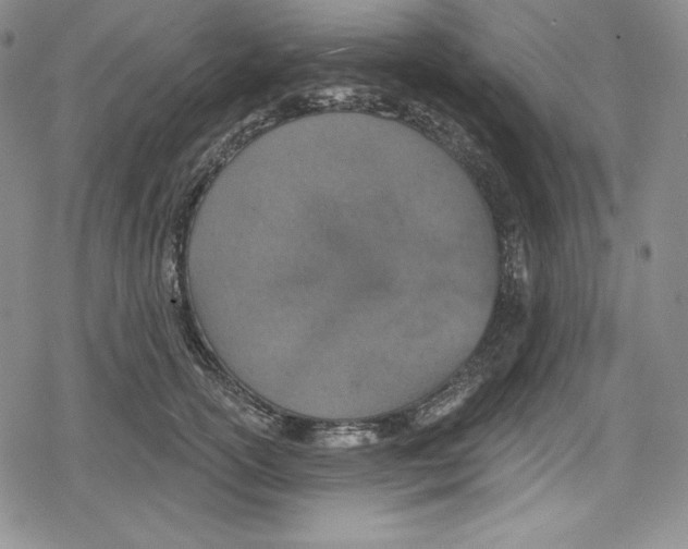 X0000078830754200612111519