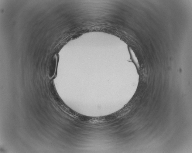 X0000078830756200612111519