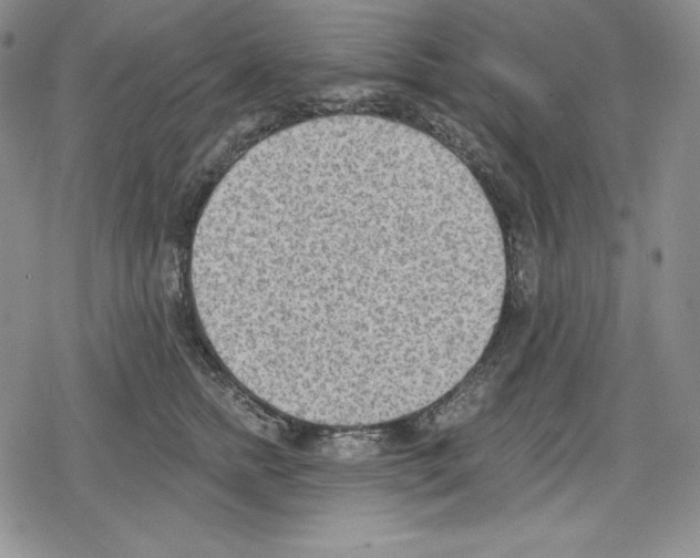 X0000078830758200612111519