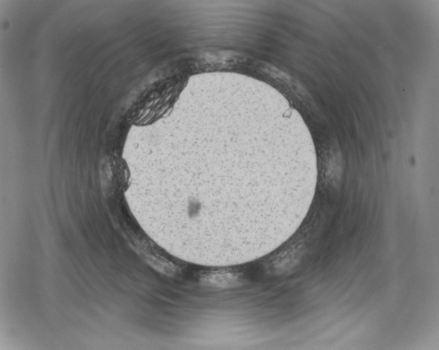 X0000078830759200612111519