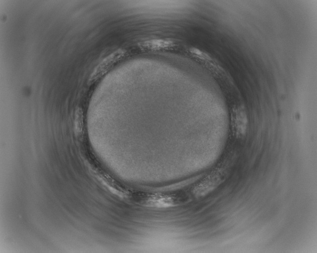 X0000078830760200612111519