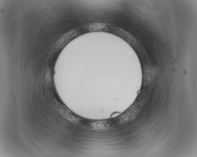 X0000078830761200612111519