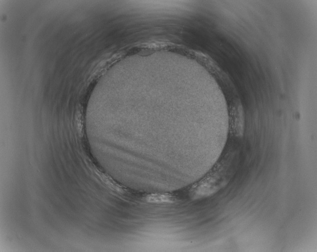 X0000078830762200612111519