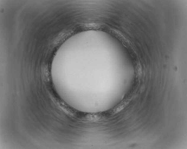 X0000078830764200612111519