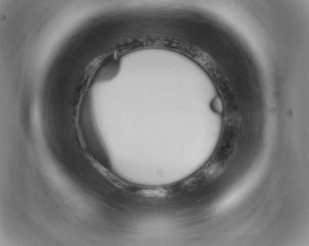 X0000078830765200612111519