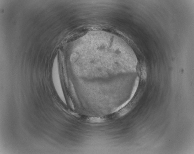 X0000078830766200612111519