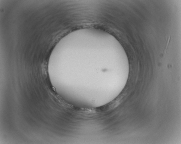 X0000078830768200612111519