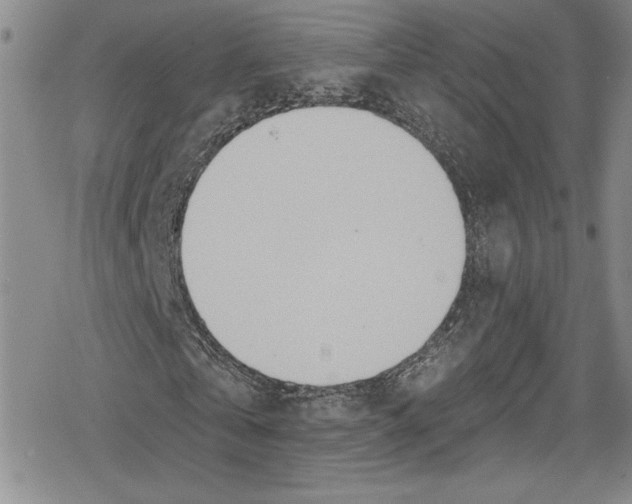 X0000078830769200612111519