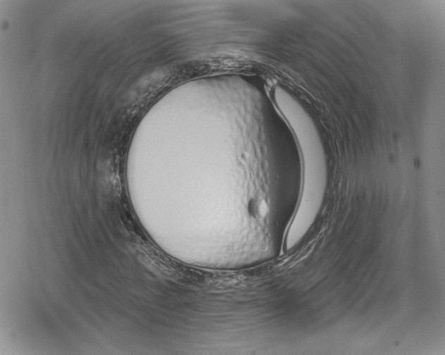 X0000078830771200612111519