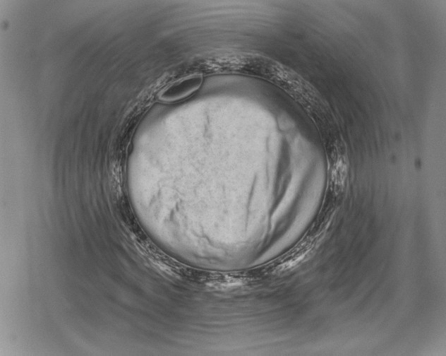 X0000078830772200612111519