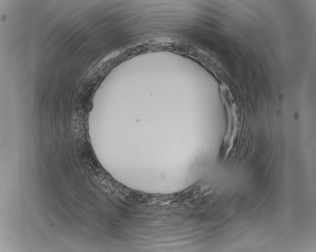 X0000078830773200612111518