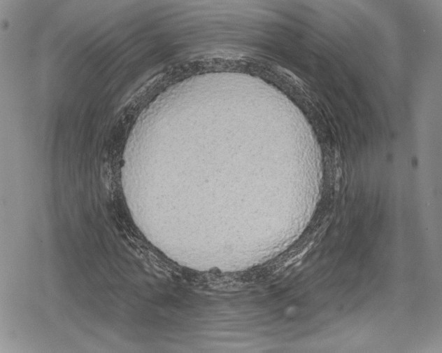 X0000078830774200612111518