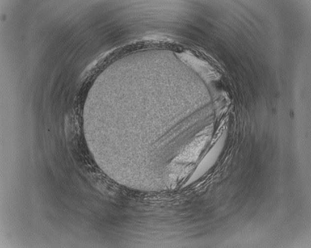 X0000078830776200612111518