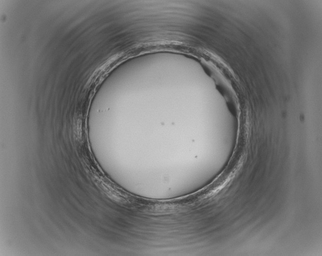 X0000078830777200612111518