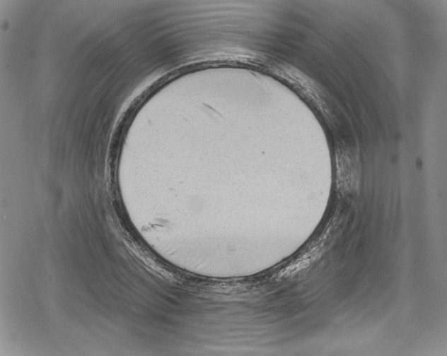 X0000078830780200612111518