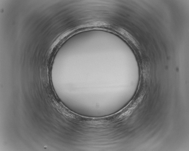 X0000078830781200612111518