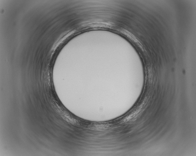 X0000078830782200612111518