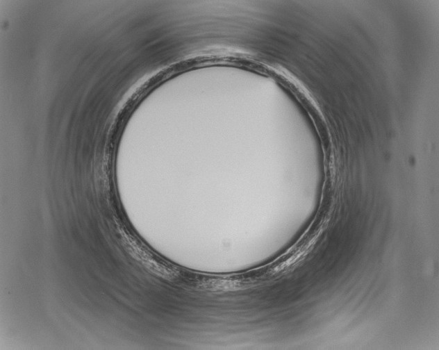 X0000078830783200612111518