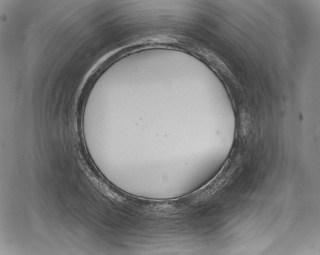 X0000078830784200612111518