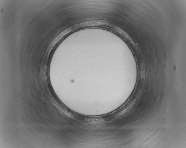 X0000078830786200612111518