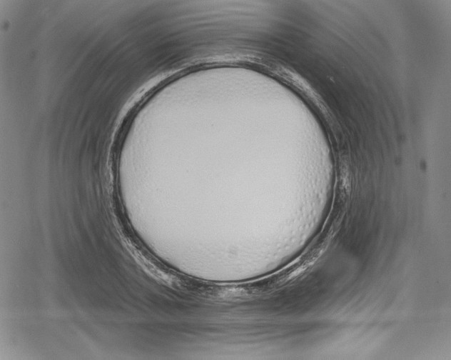 X0000078830787200612111518