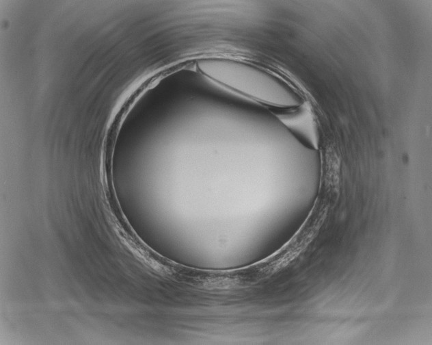 X0000078830788200612111518