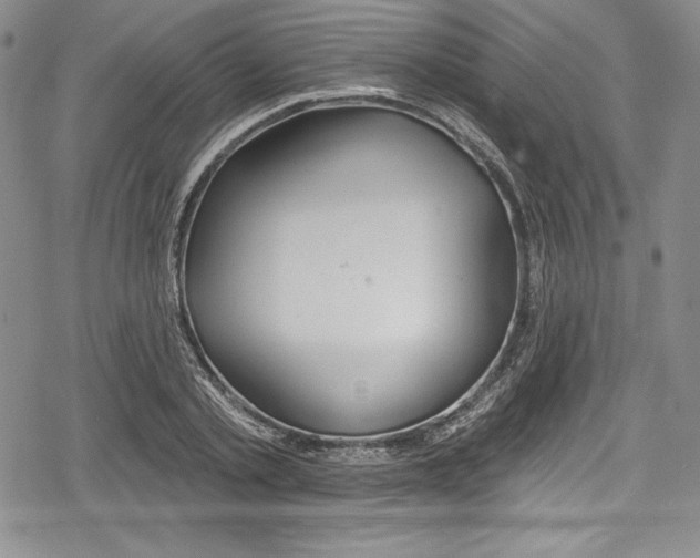 X0000078830789200612111518