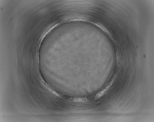 X0000078830790200612111518