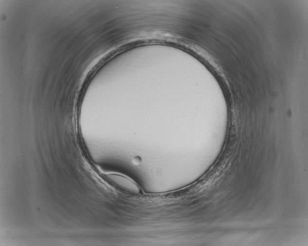 X0000078830791200612111518