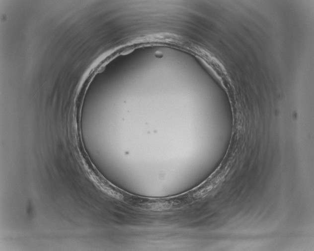 X0000078830792200612111518