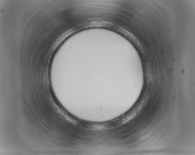 X0000078830794200612111518