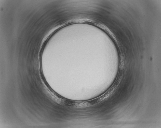 X0000078830795200612111518