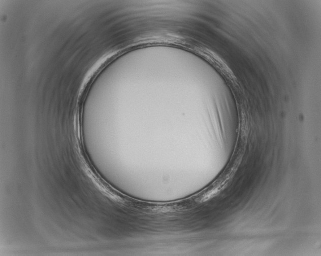 X0000078830796200612111518