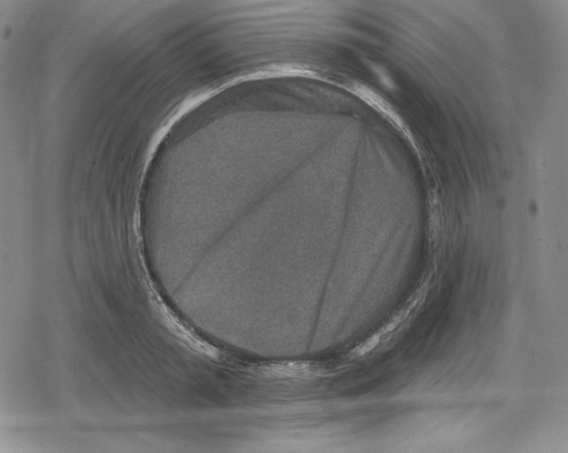 X0000078830797200612111518