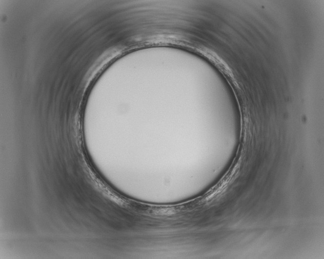 X0000078830798200612111518