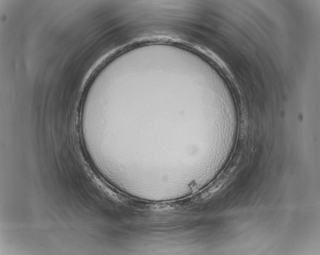 X0000078830799200612111518