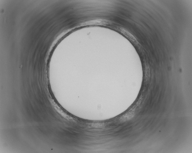 X0000078830800200612111518