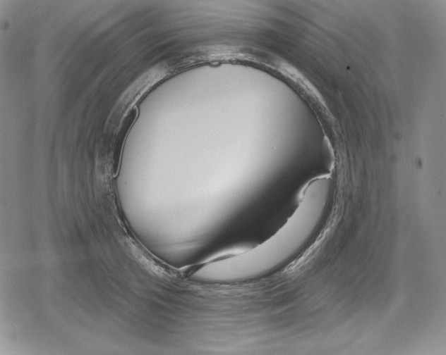 X0000078830801200612111518