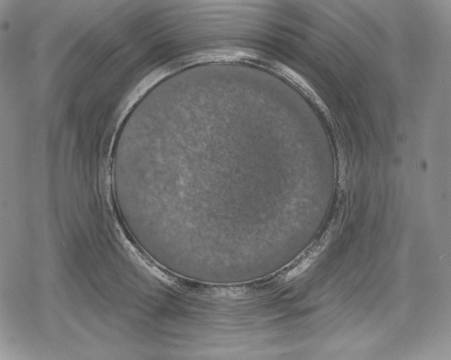 X0000078830802200612111518