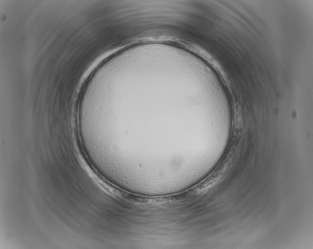 X0000078830803200612111518