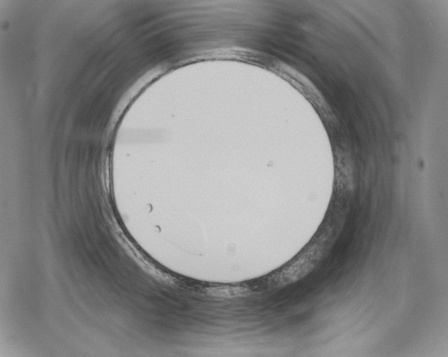 X0000078830804200612111518