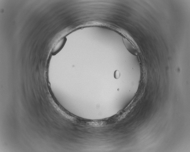 X0000078830805200612111518