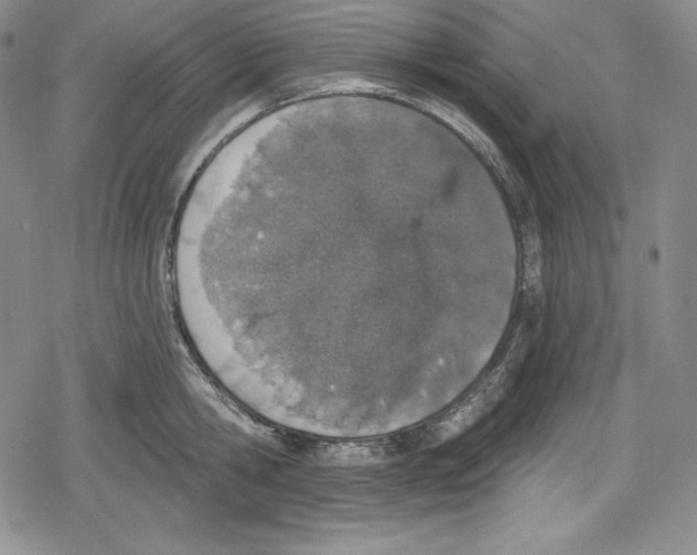 X0000078830806200612111518